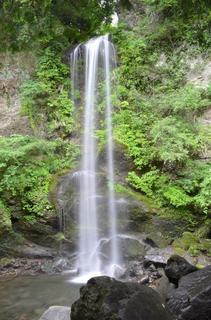 DSC_0274.JPG