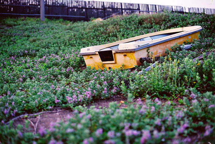 FH010025.jpg