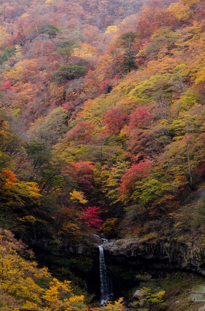 _DSC1301.jpg